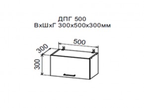Шкаф верхний ДПГ500 горизонтальный в Миньяре - minyar.магазин96.com | фото