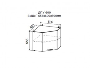 Шкаф верхний ДПУ600 угловой в Миньяре - minyar.магазин96.com | фото